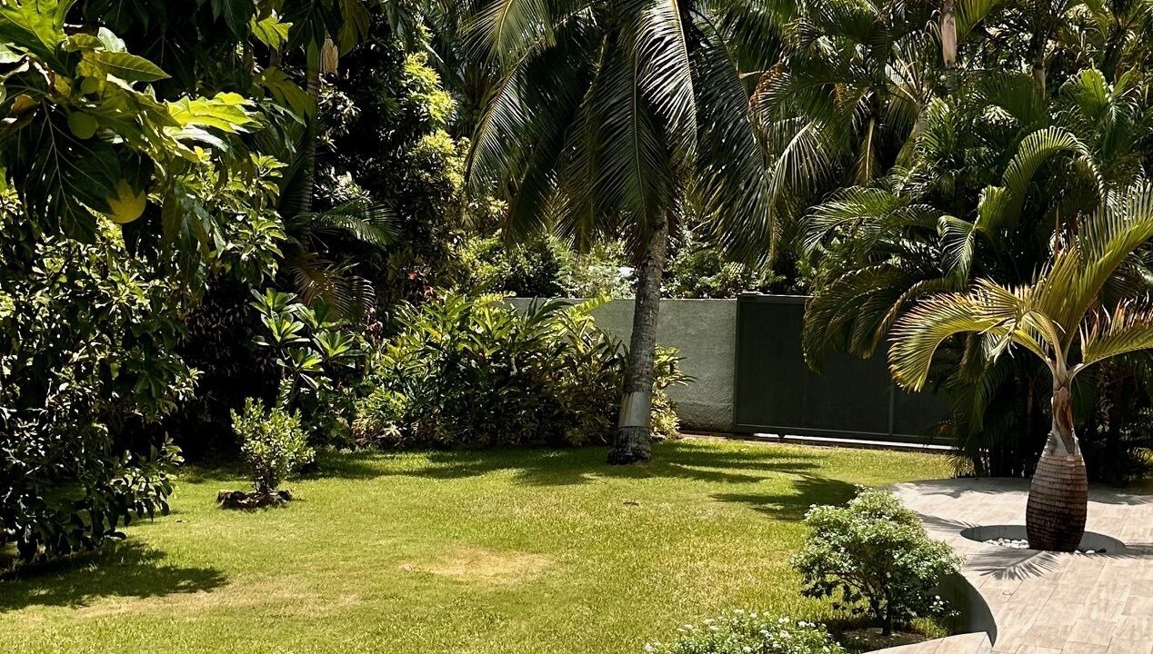 Photo of Outdoor in Point Matira