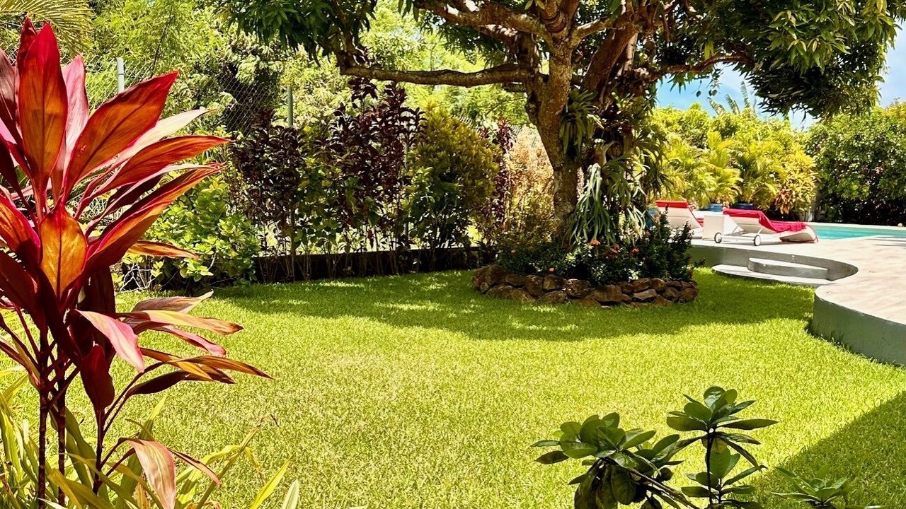 Photo of Outdoor in Point Matira
