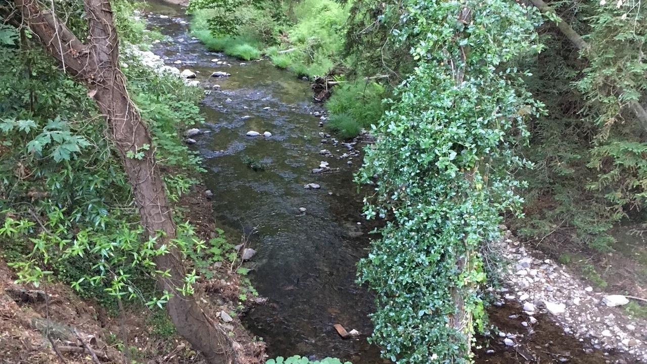 Photo of Outdoor in Soquel