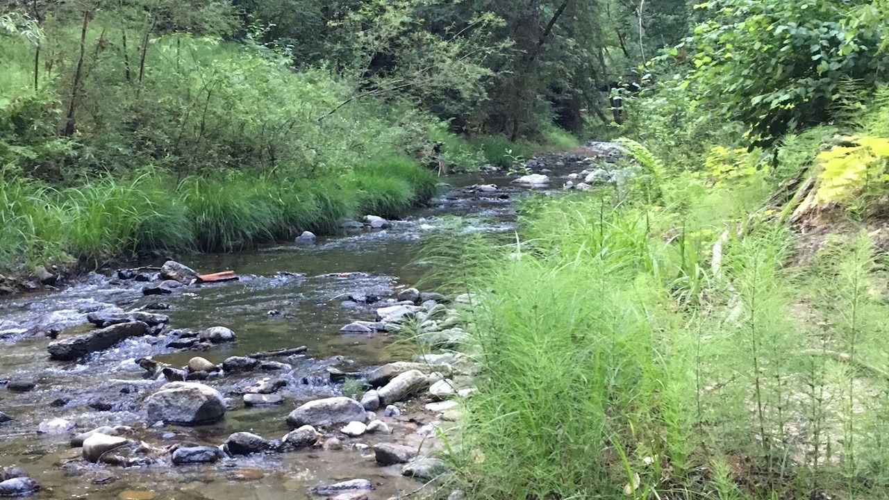 Photo of Outdoor in Soquel