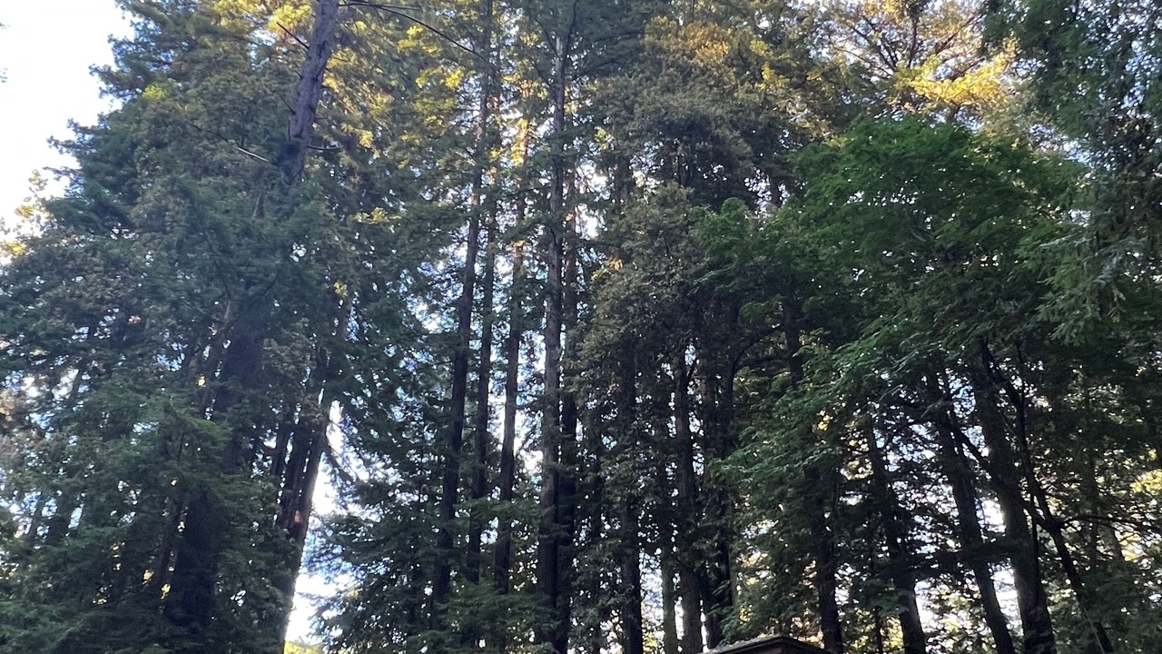 Photo of Others in Soquel