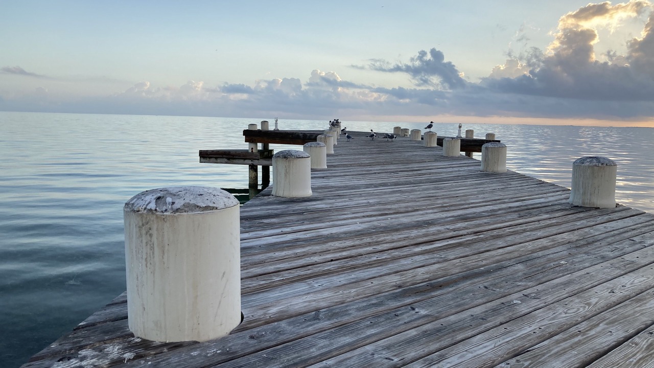 Photo of Others in Providenciales