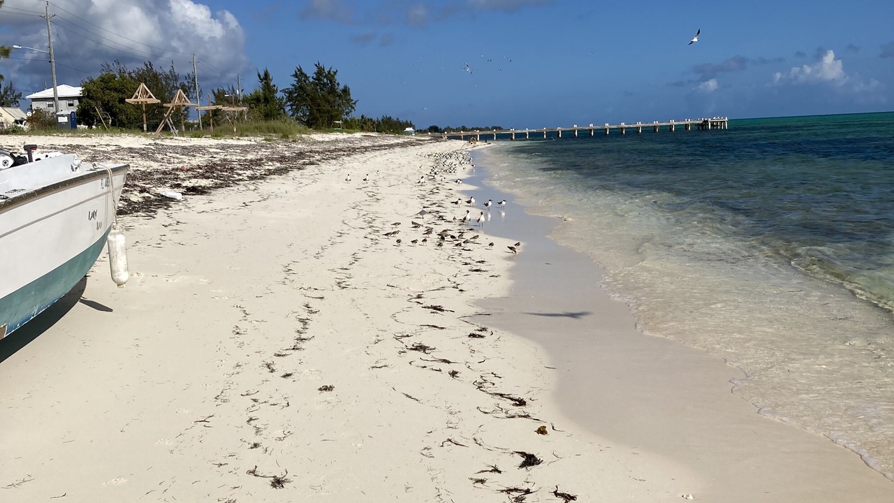 Photo of Others in Providenciales