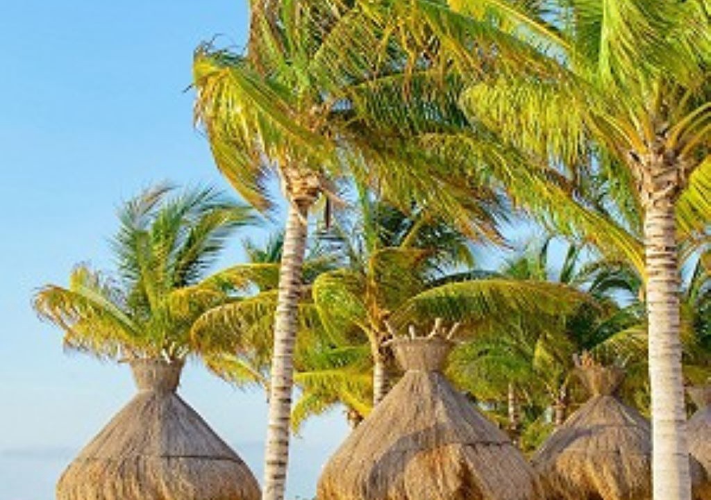 Photo of Others in Punta Sam