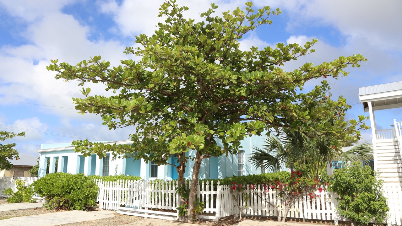 Photo of Outdoor in Cockburn Town