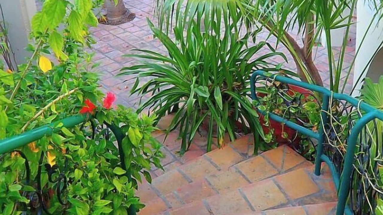 Photo of Outdoor in Cockburn Town