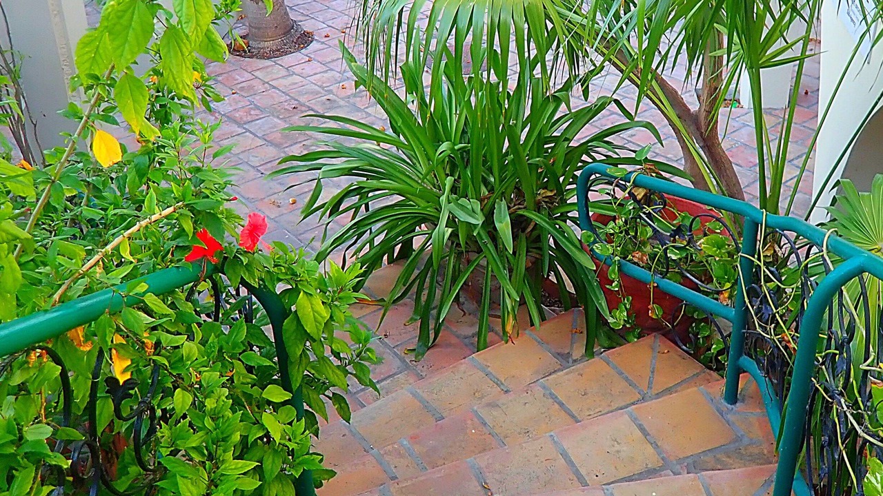 Photo of Outdoor in Cockburn Town