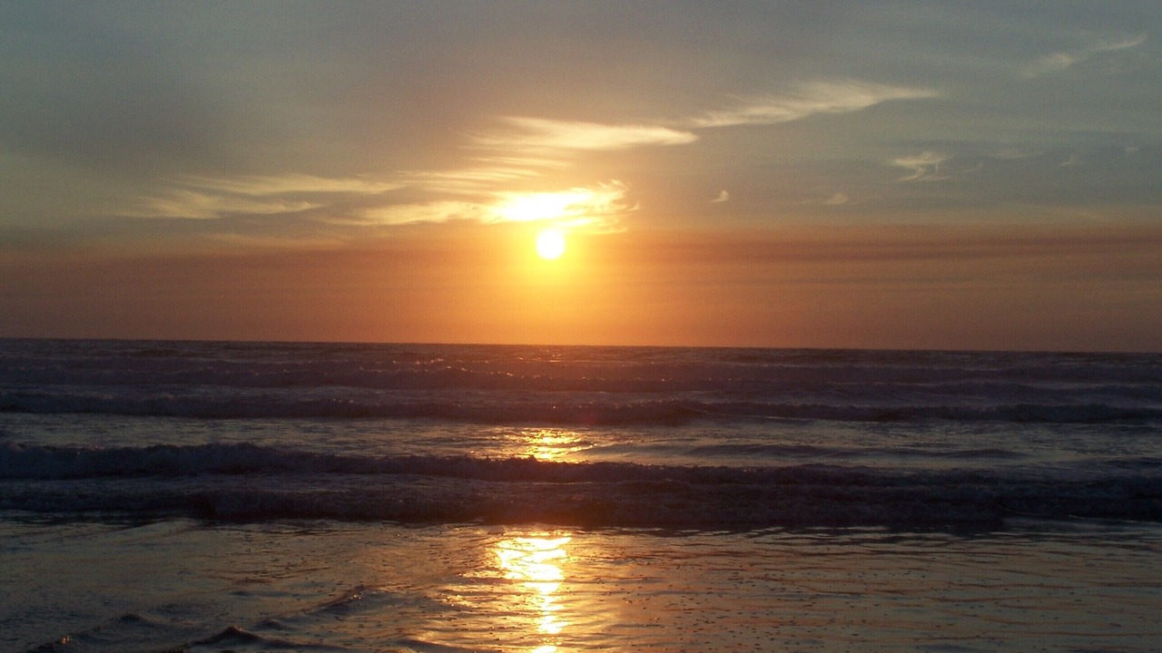 Photo of Others in Pajaro Dunes