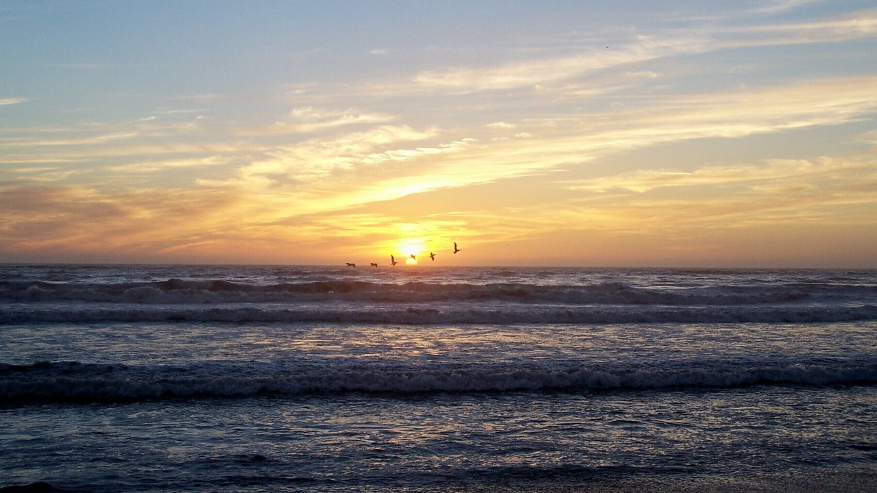 Photo of Others in Pajaro Dunes