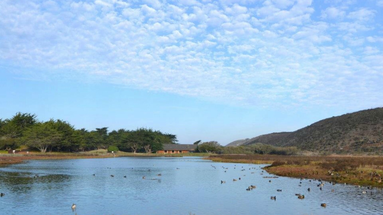 Photo of Outdoor in Pajaro Dunes