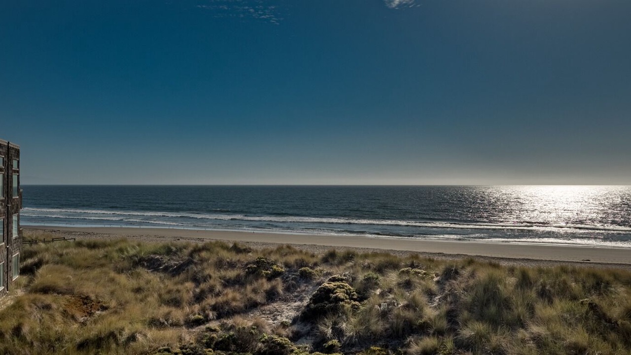 Photo of Others in Pajaro Dunes