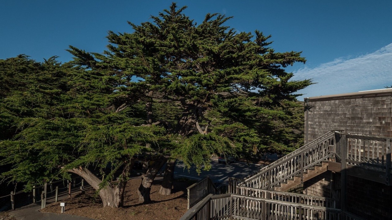 Photo of Outdoor in Pajaro Dunes