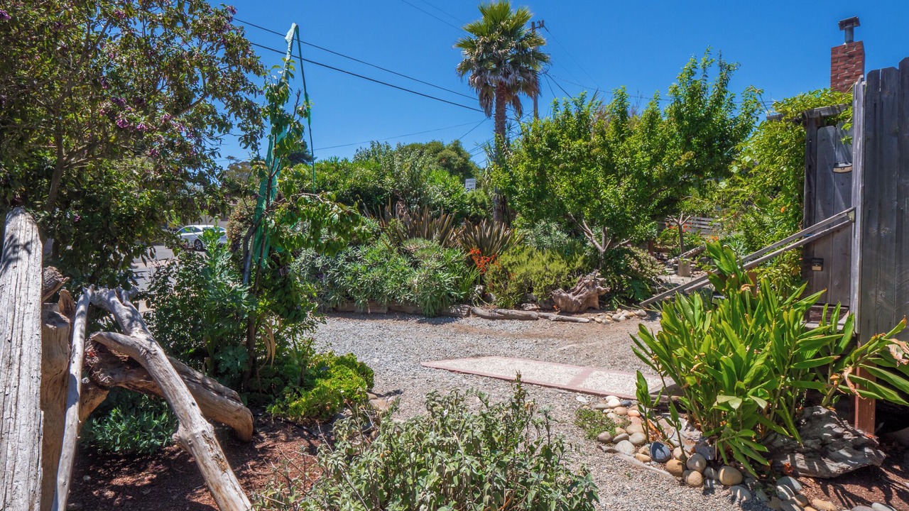 Photo of Outdoor in Eastside Santa Cruz