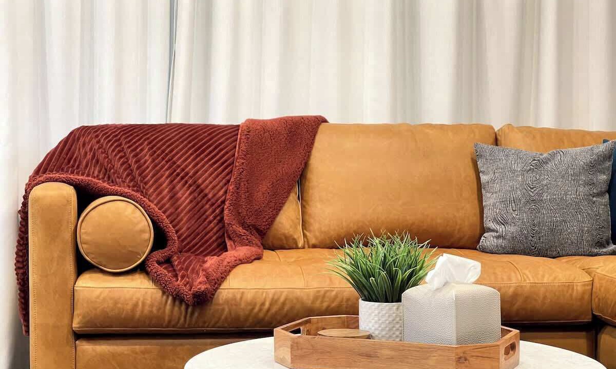 Photo of Livingroom in Felton