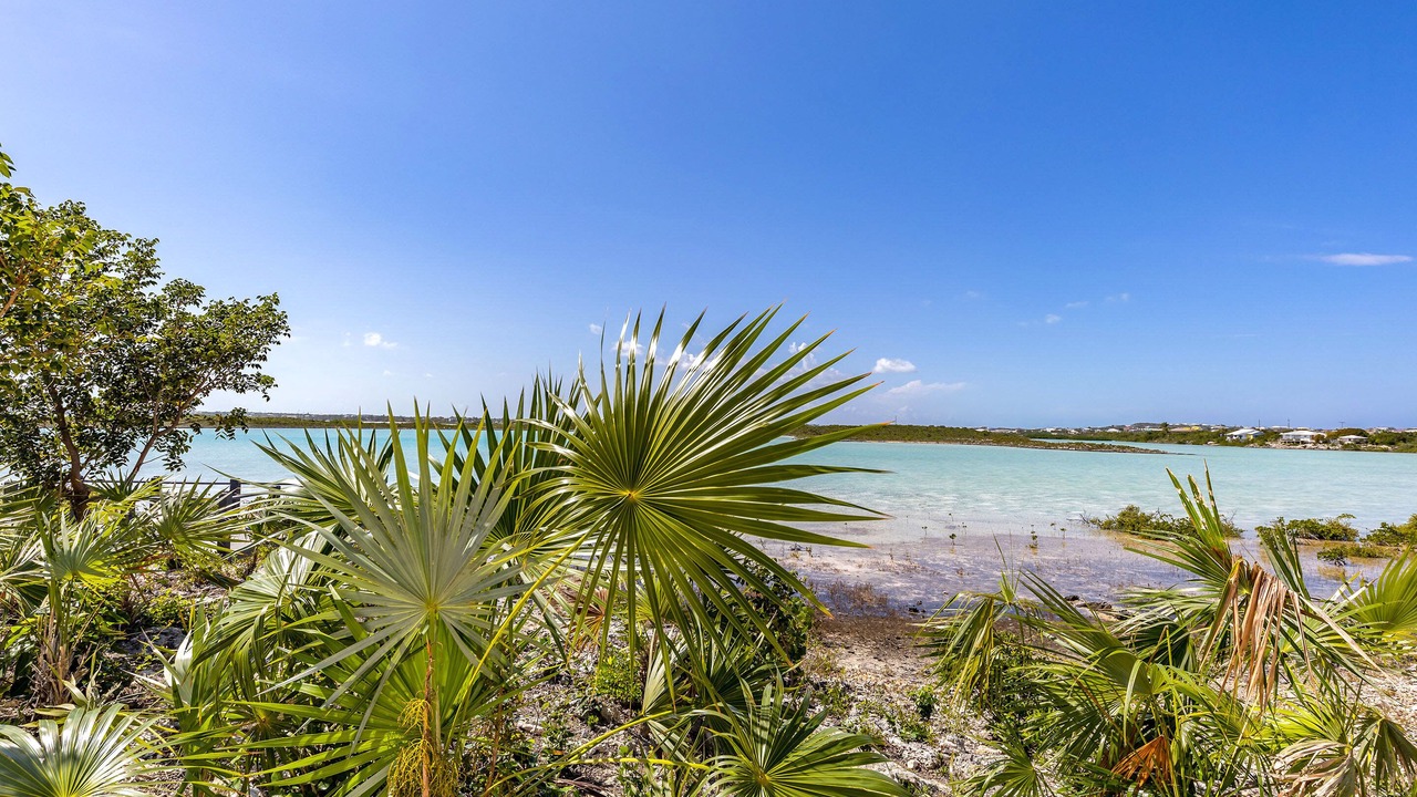 Photo of Others in Discovery Bay