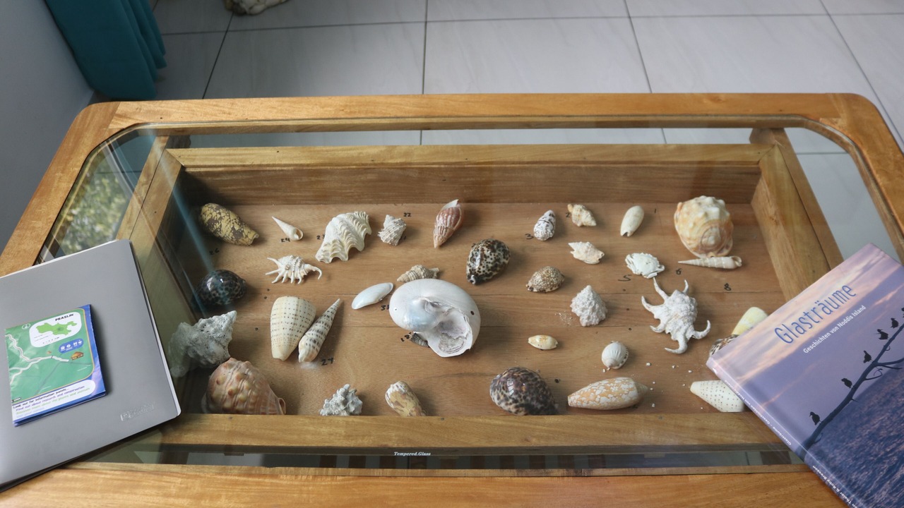 Photo of Others in Praslin Island