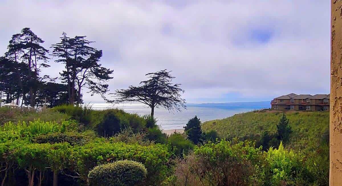 Photo of Others in Rio del Mar