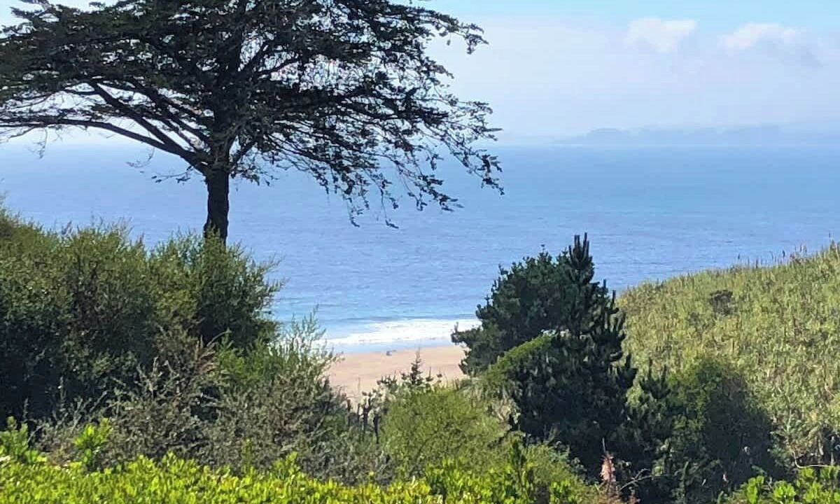 Photo of Others in Rio del Mar