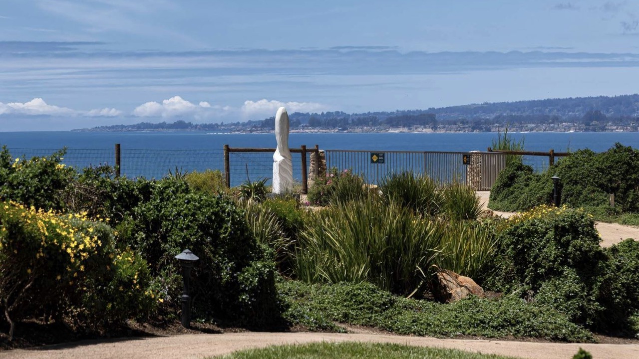 Photo of Others in Rio del Mar