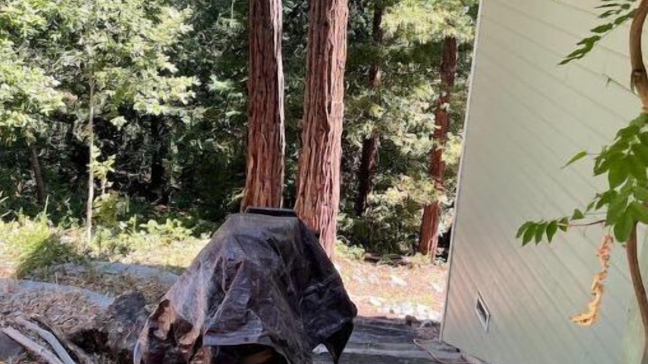 Photo of Outdoor in Boulder Creek