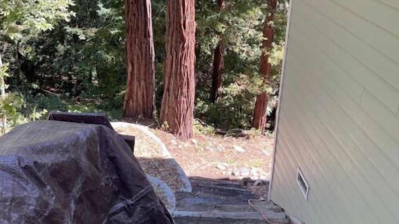 Photo of Patio Balcony in Boulder Creek