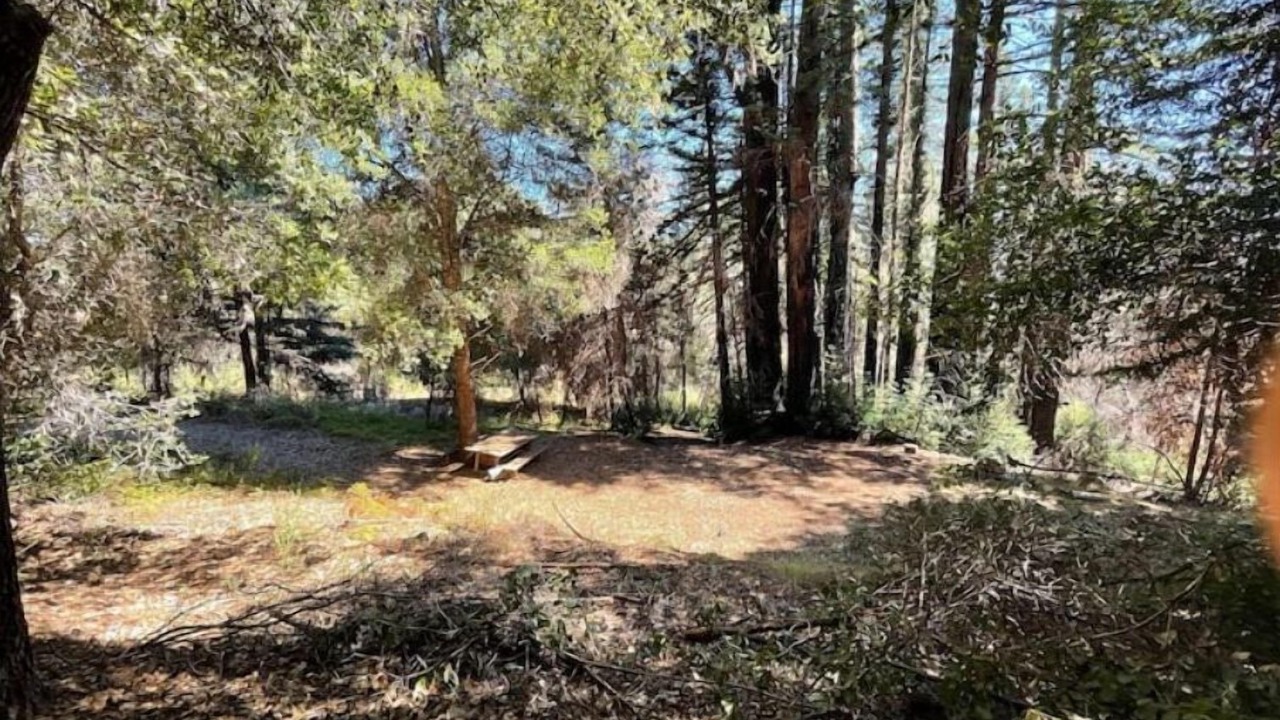 Photo of Outdoor in Boulder Creek