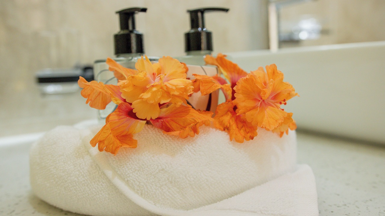 Photo of Bathroom in Grand Anse