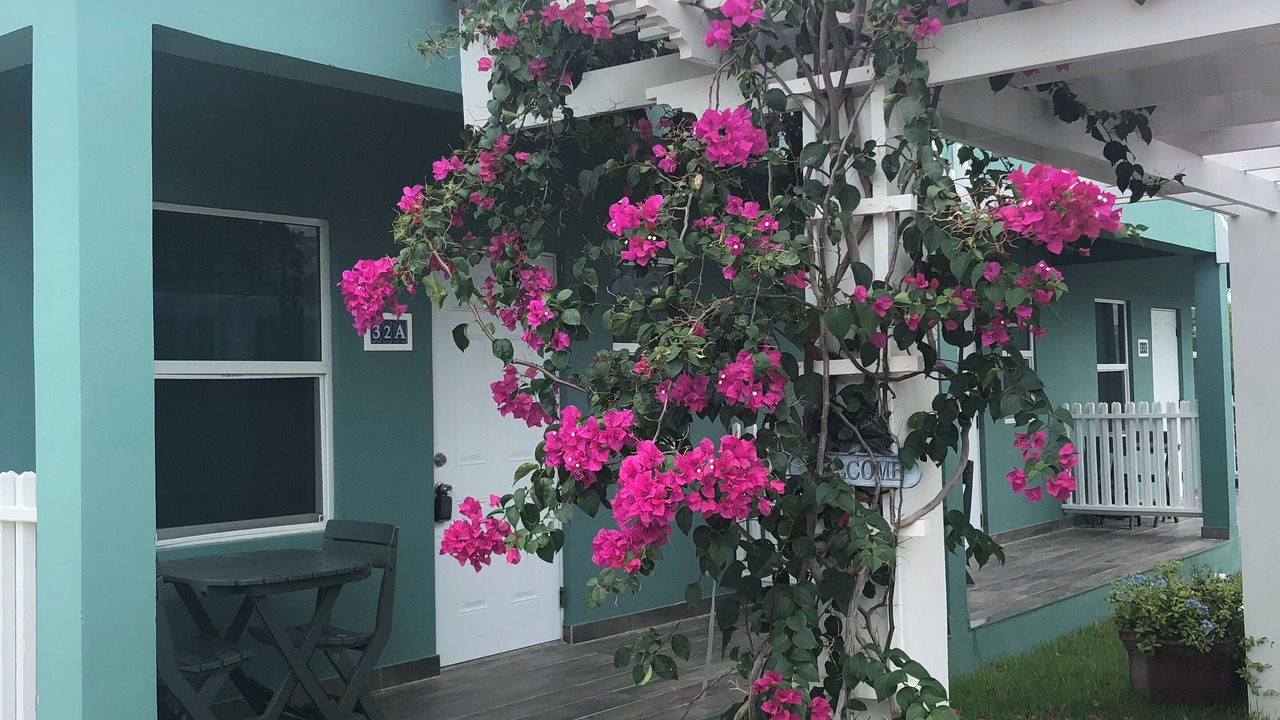 Photo of Patio Balcony in Blue Hills