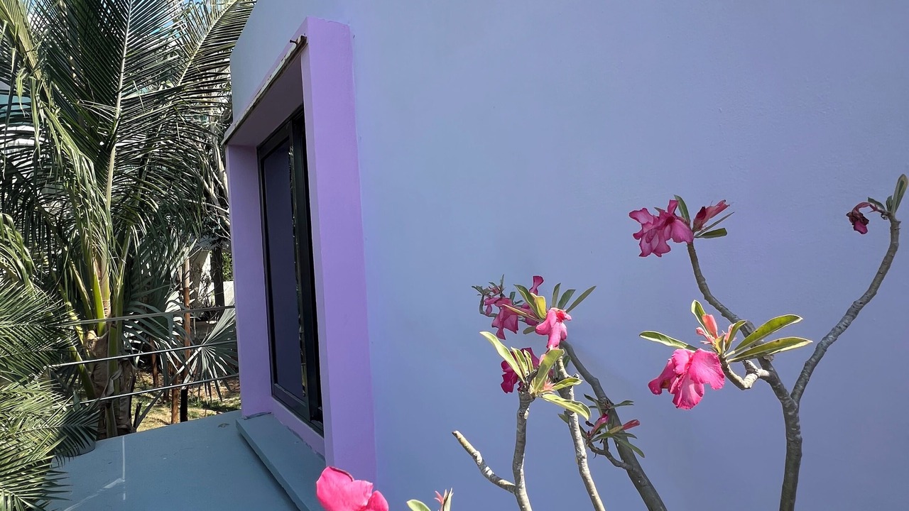 Photo of Outdoor in Isla Holbox