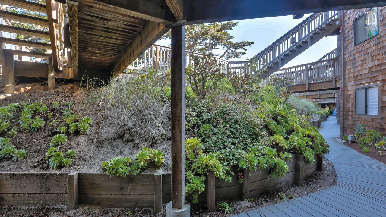 Photo of Others in Pajaro Dunes