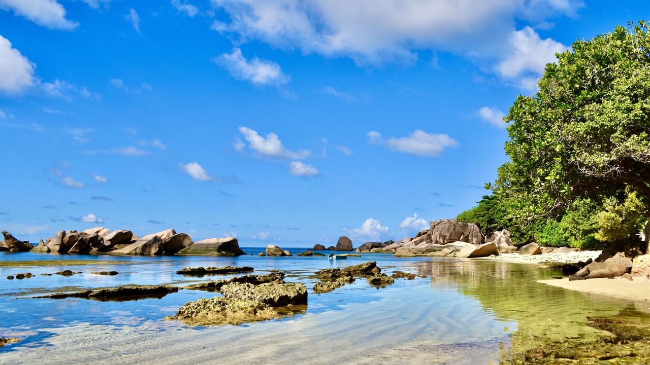 Photo of Others in Anse Bois de Rose