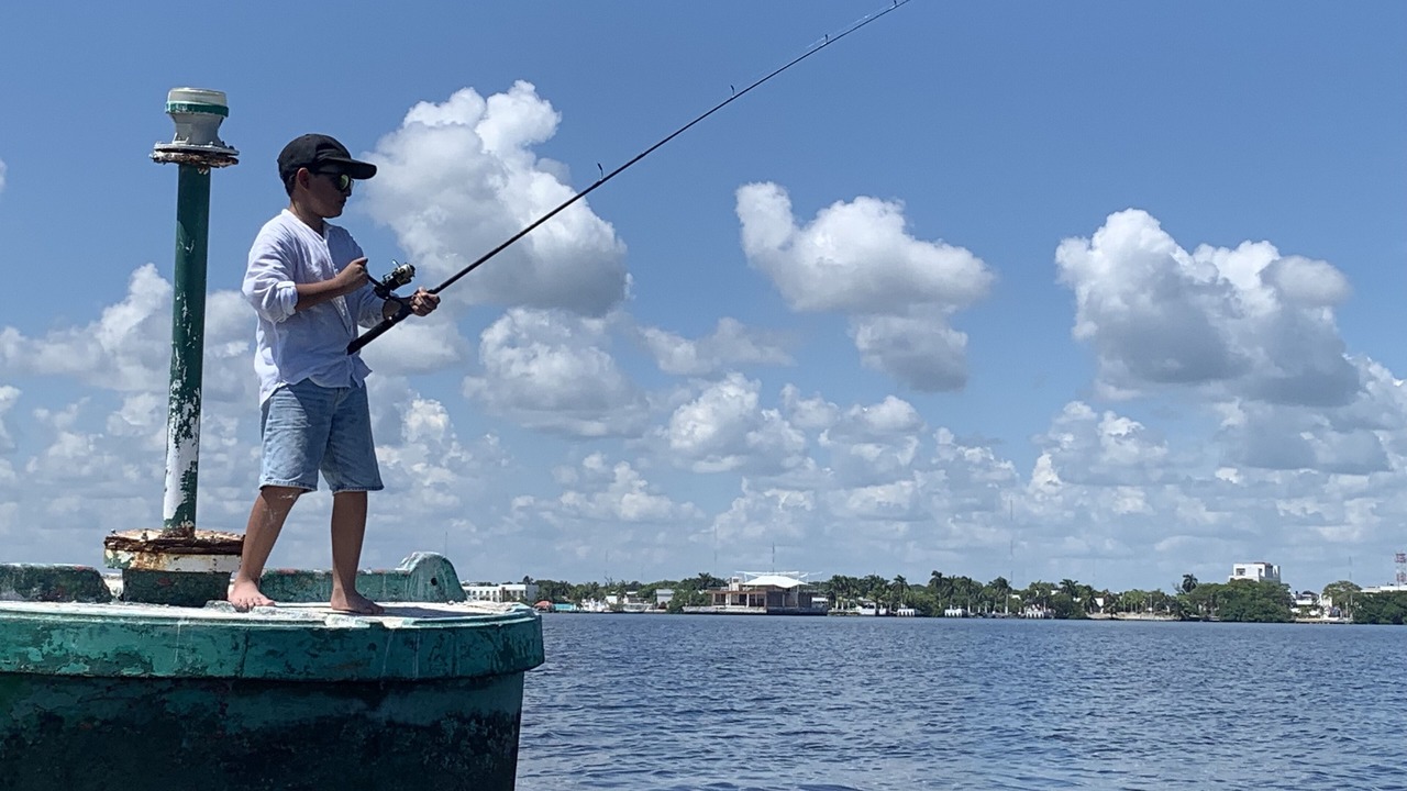 Photo of Others in Chetumal