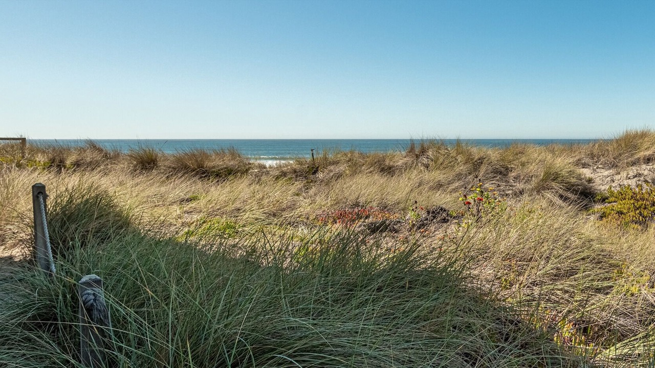 Photo of Others in Pajaro Dunes