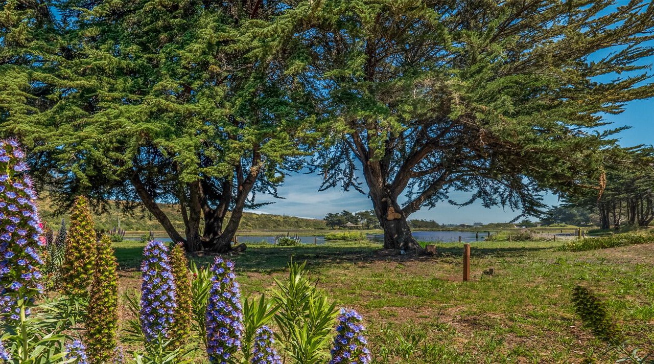 Photo of Outdoor in Pajaro Dunes