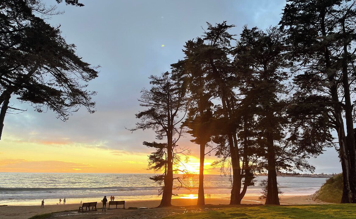 Photo of Others in Eastside Santa Cruz