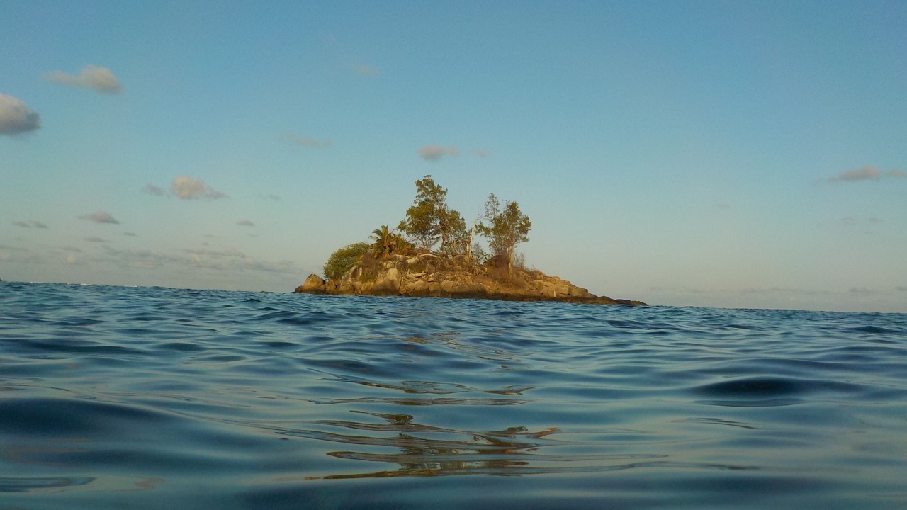 Photo of Others in Anse Royale