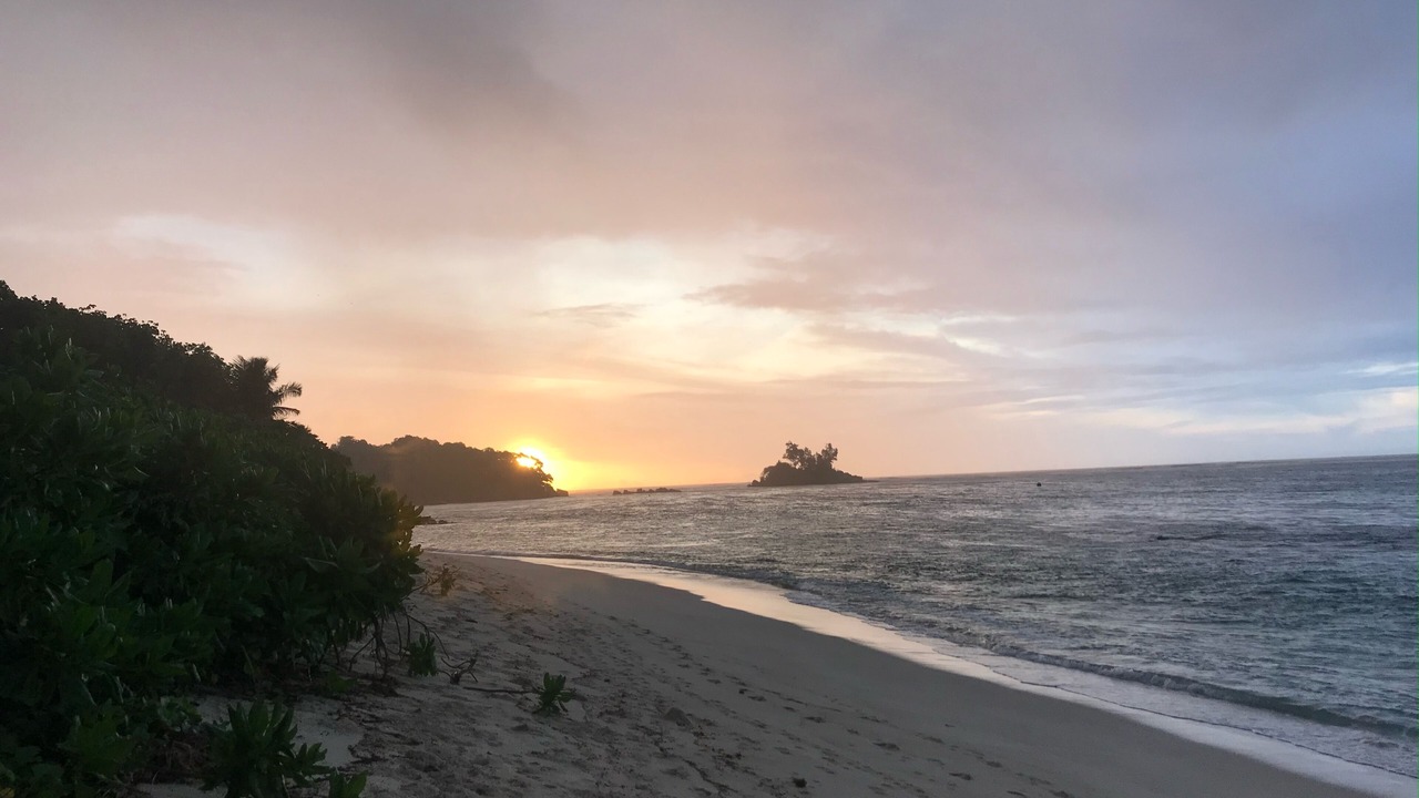 Photo of Others in Anse Royale