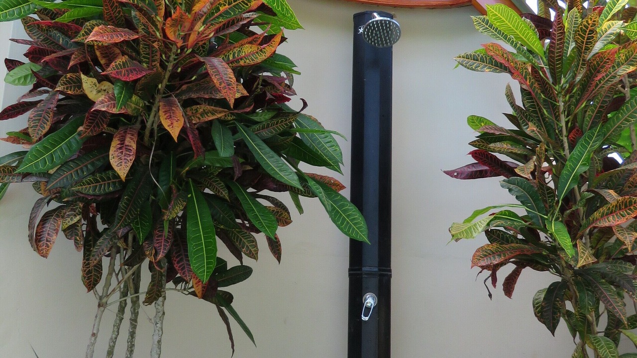 Photo of Outdoor in Anse Royale