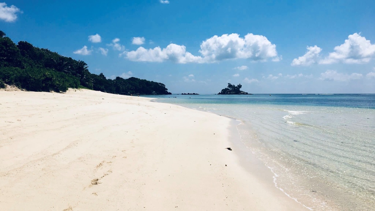 Photo of Others in Anse Royale