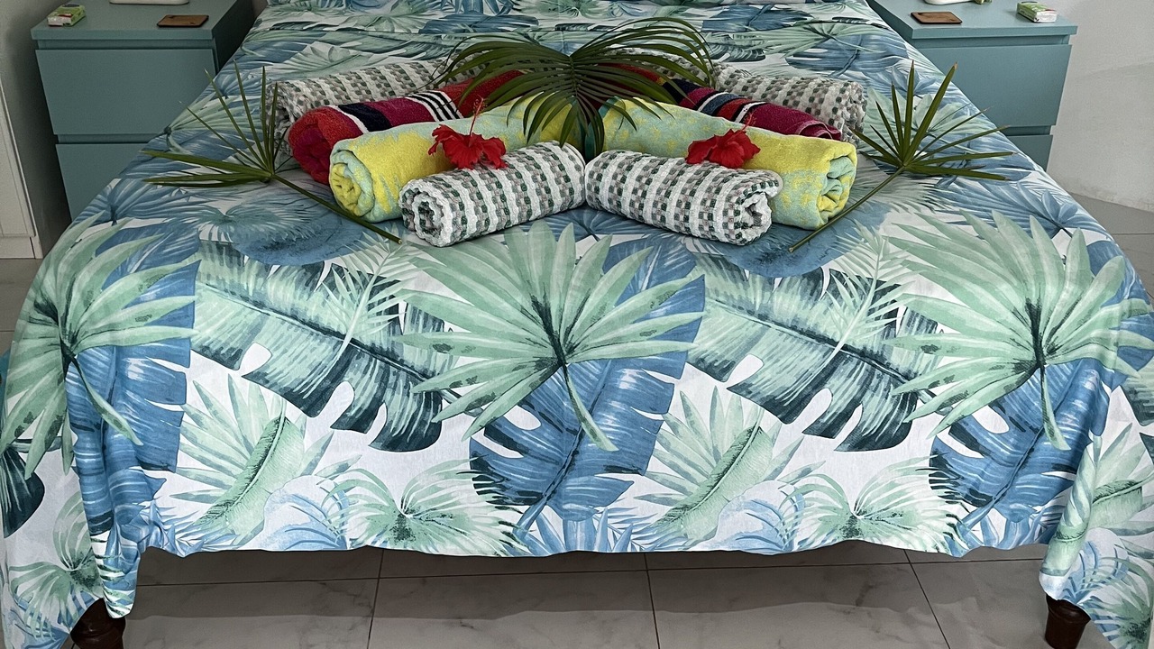 Photo of Bedroom in Anse Royale
