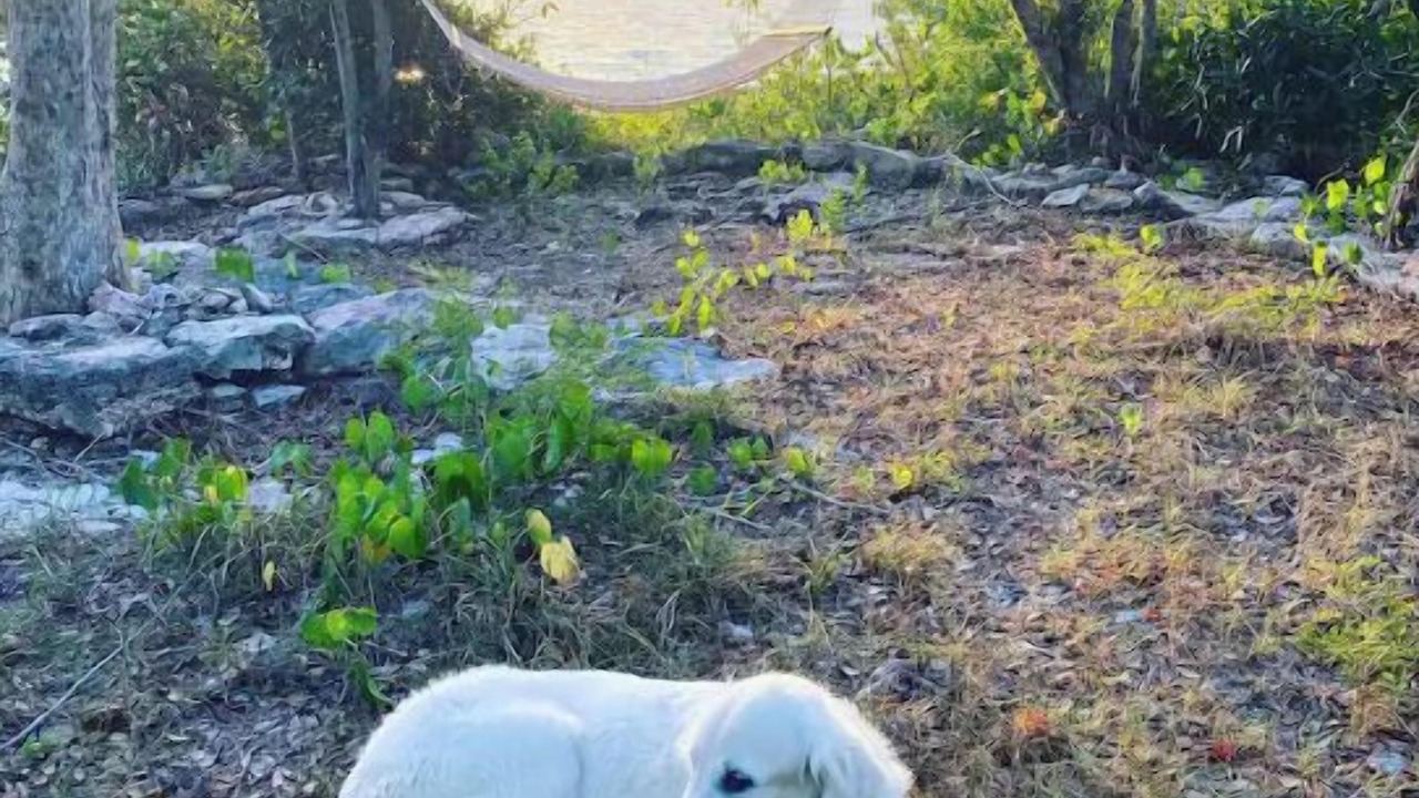 Photo of Outdoor in North Caicos