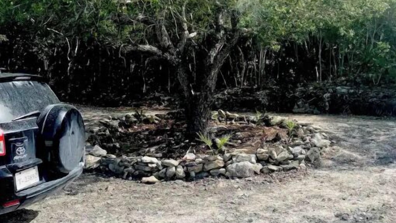 Photo of Outdoor in North Caicos