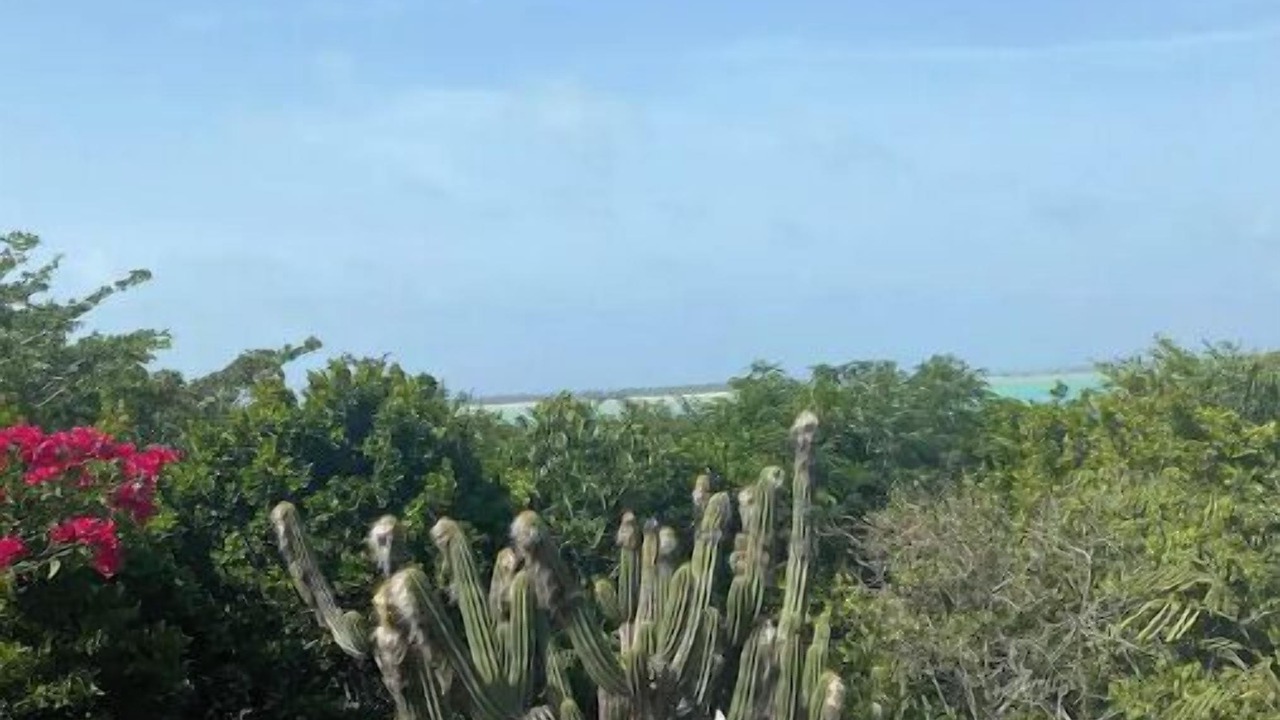Photo of Outdoor in North Caicos
