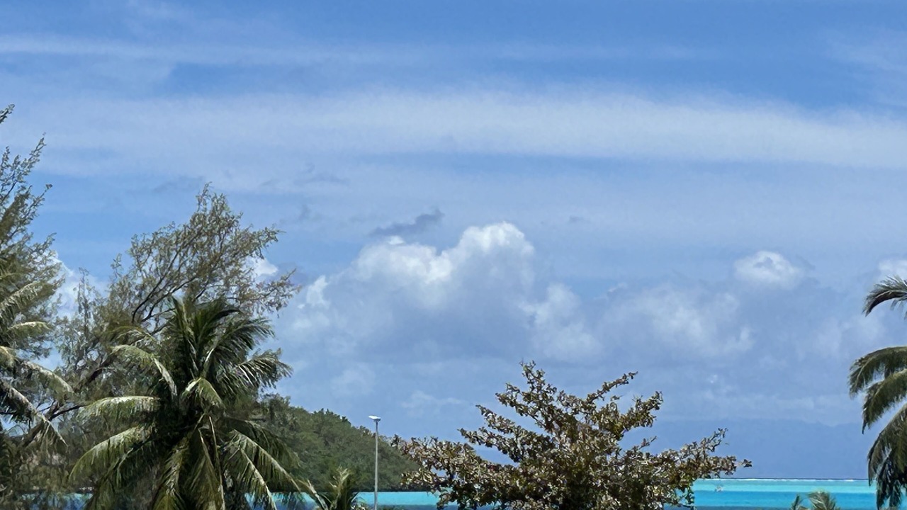 Photo of Others in Bora Bora