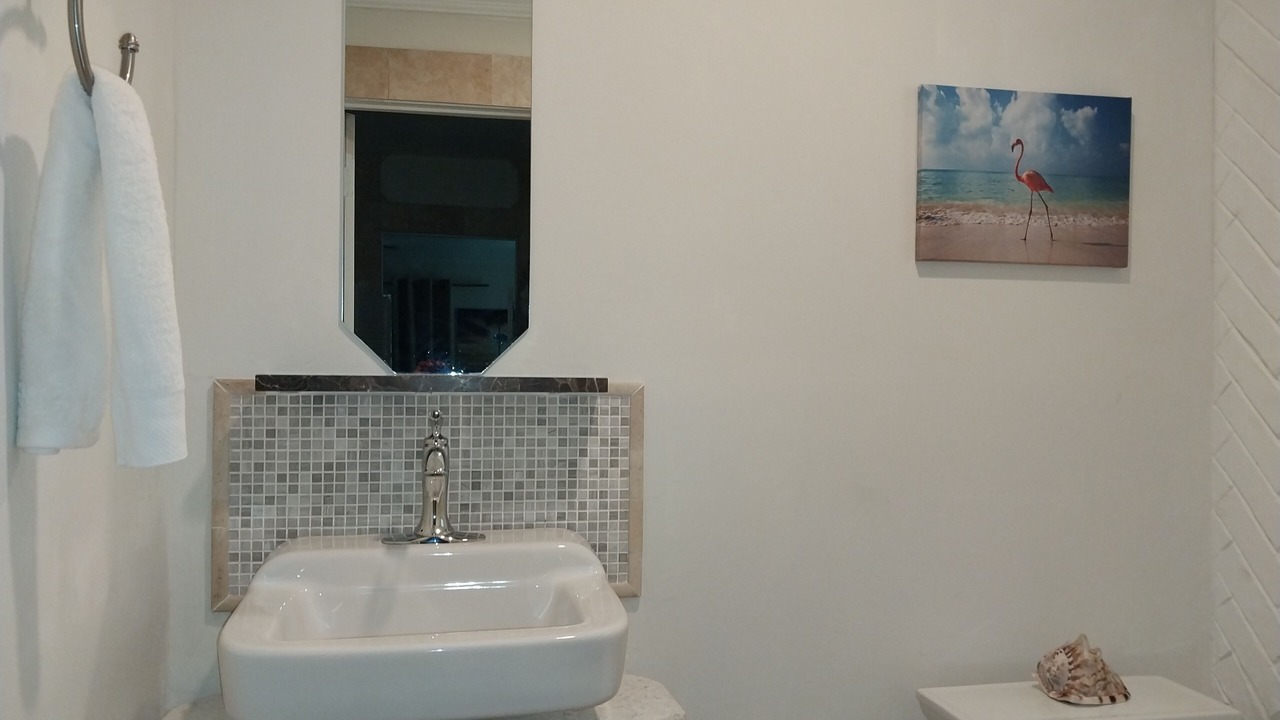 Photo of Bathroom in Leeward Settlement