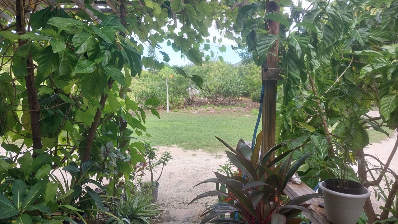 Photo of Outdoor in Leeward Settlement