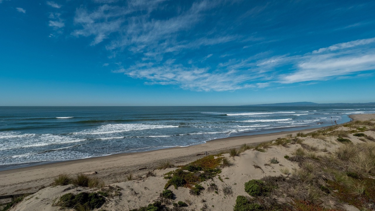 Photo of Others in Pajaro Dunes