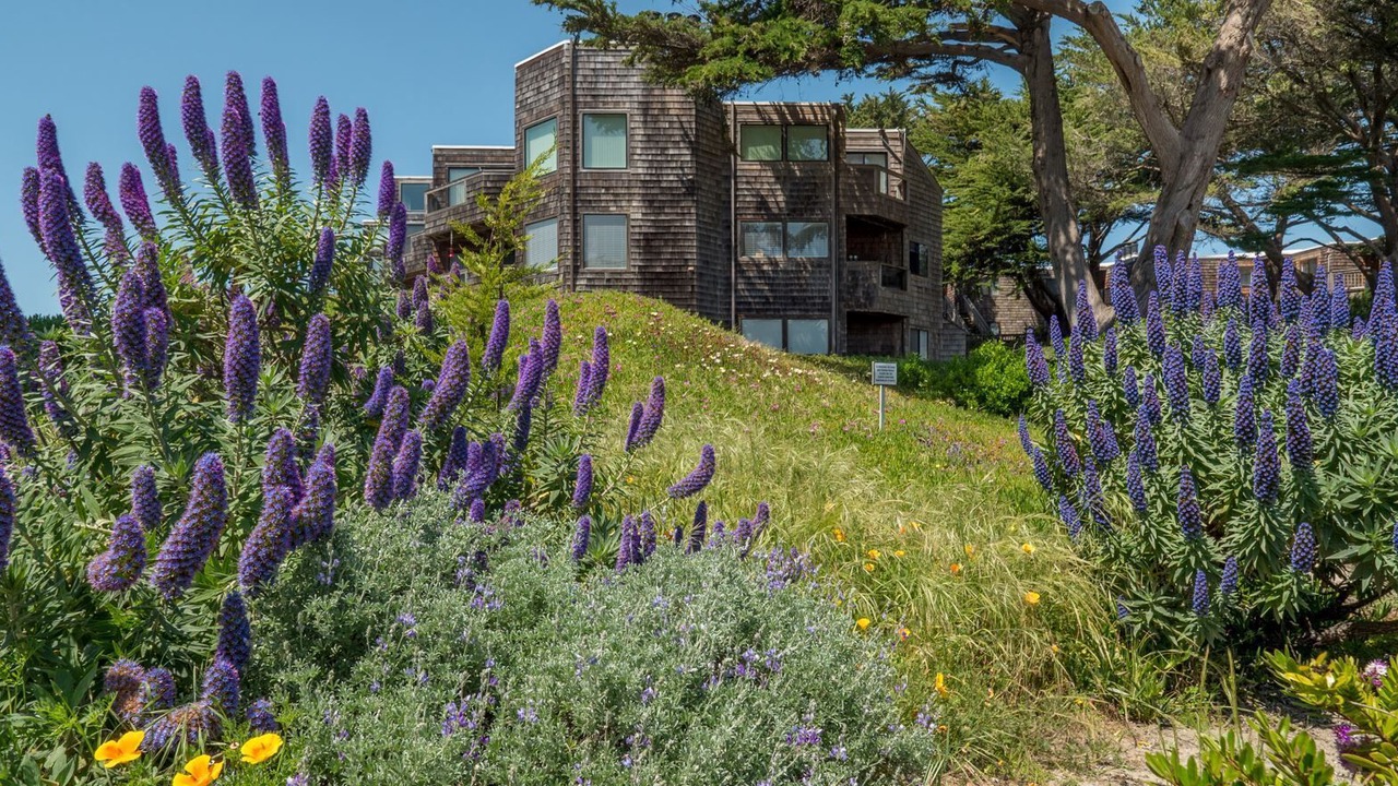 Photo of Outdoor in Pajaro Dunes