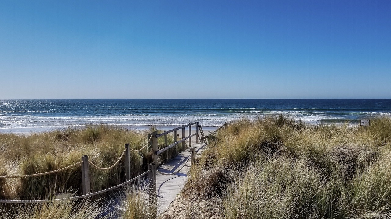 Photo of Others in Pajaro Dunes