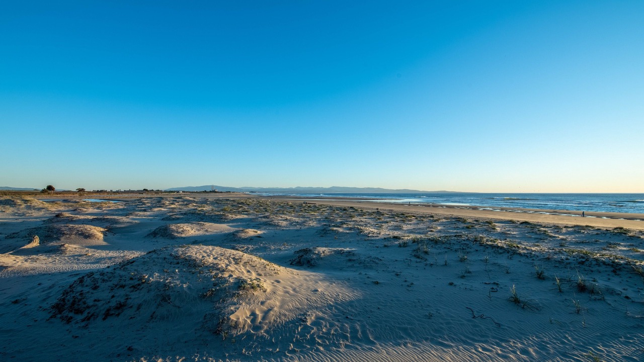 Photo of Others in Pajaro Dunes